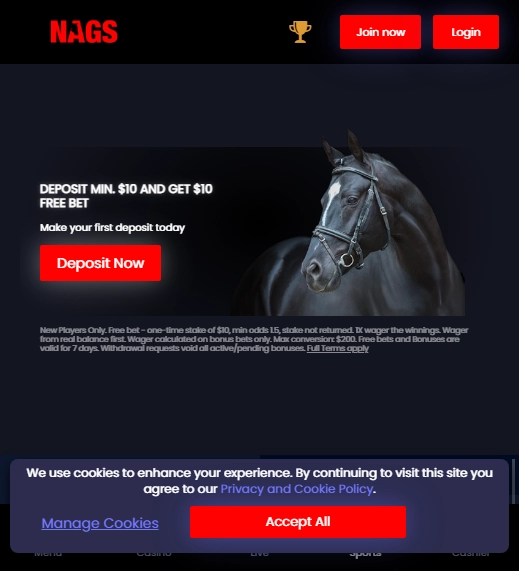 NagsBet Casino Mobile screenshot
